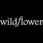 Wildflower Cases Discount Codes and Coupons Jan 2026